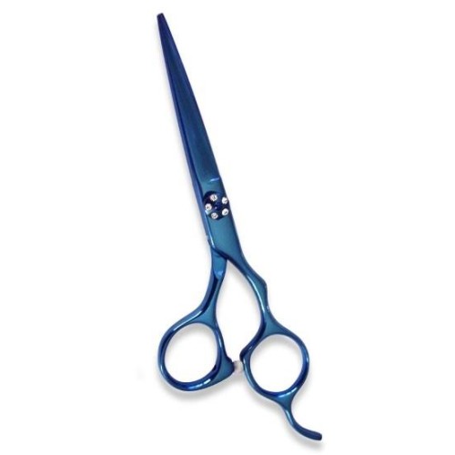 Professional Hair Cutting Scissors